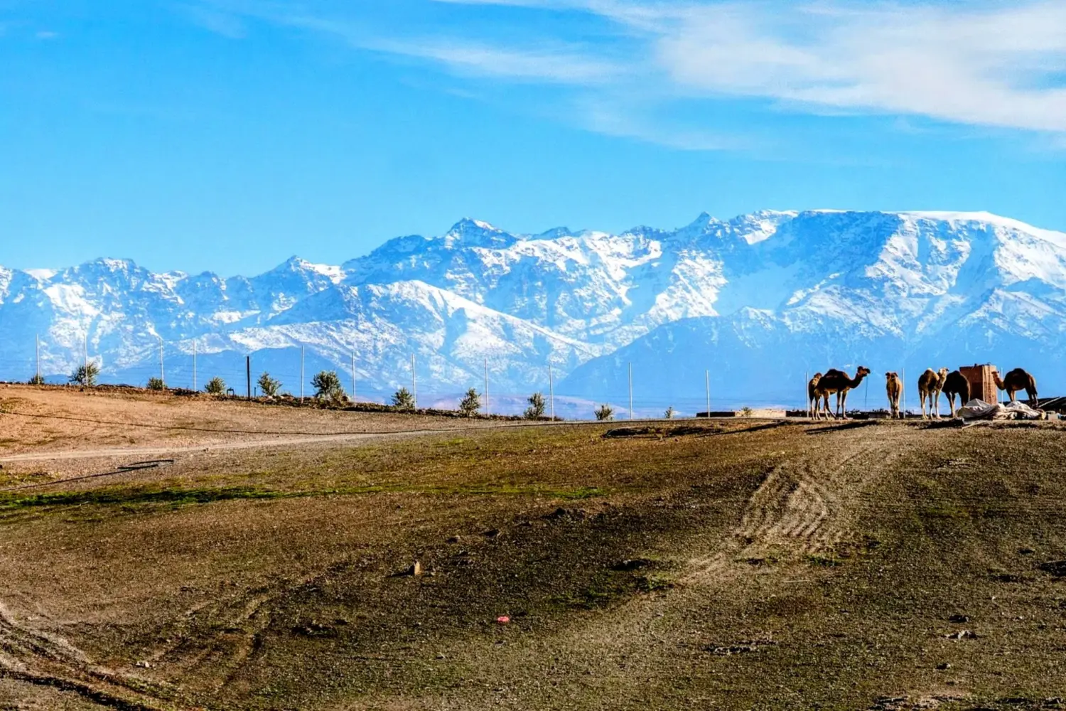 Atlas Mountains view from Agafay landscape near Marrakech