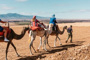 Tourists riding camels in the Agafay Desert near Marrakech