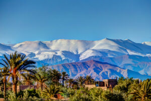 amazing oasis with palm trees with a views of the high atlas mountains
