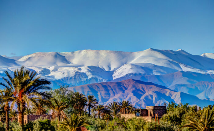 amazing oasis with palm trees with a views of the high atlas mountains