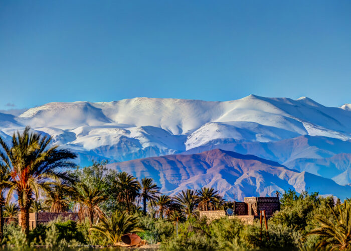 amazing oasis with palm trees with a views of the high atlas mountains