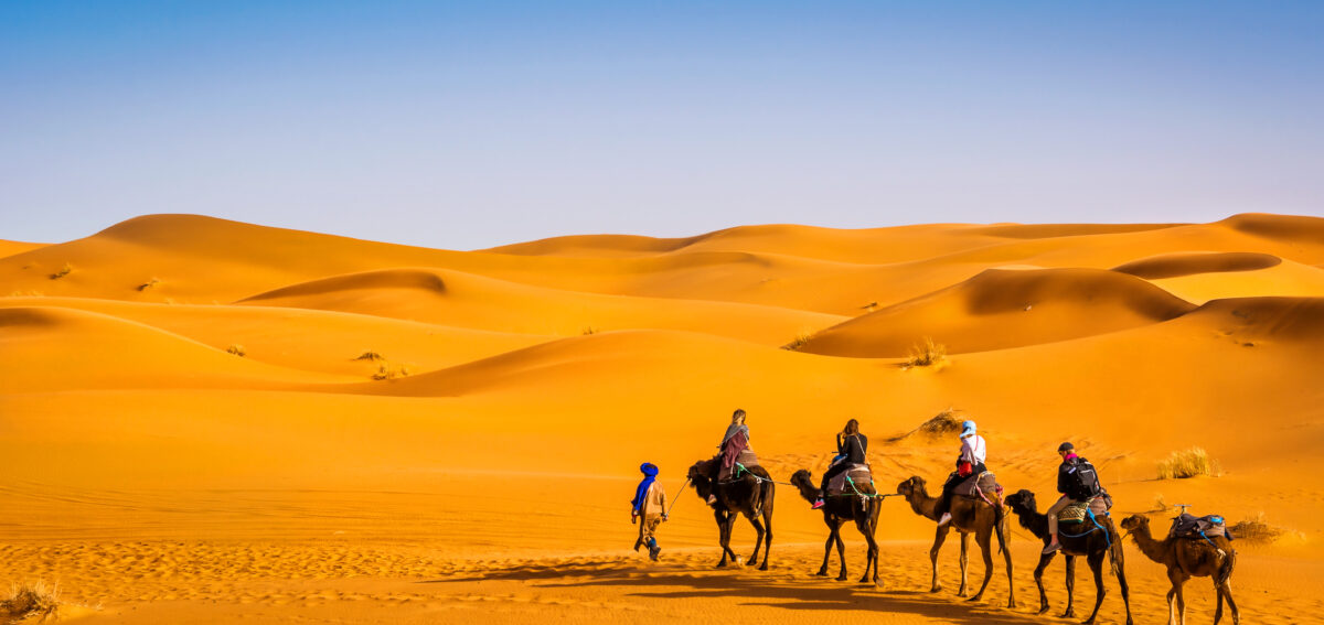 camel ride inmerzouga sahara desert