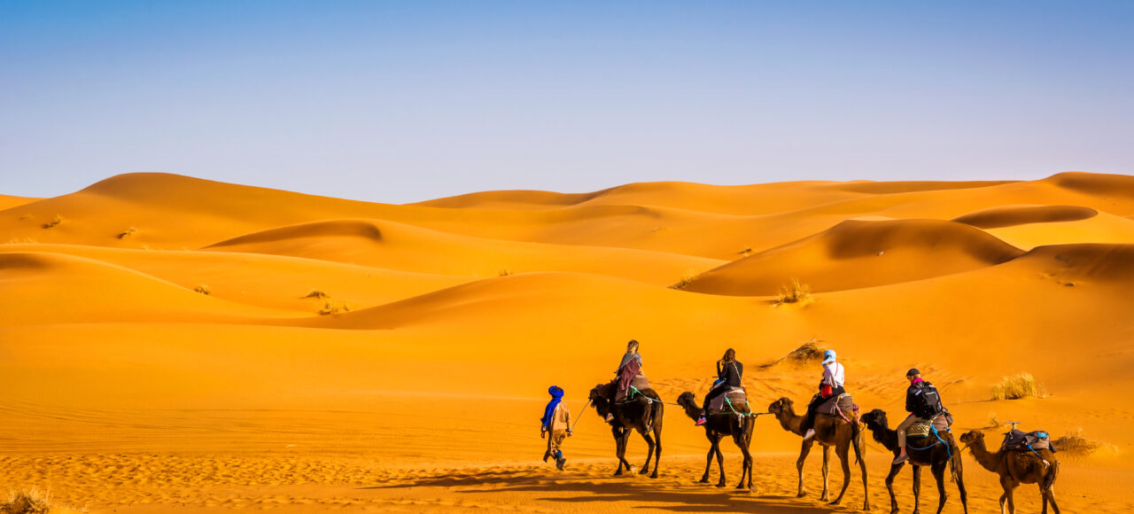 camel ride inmerzouga sahara desert