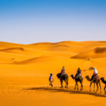 camel ride inmerzouga sahara desert