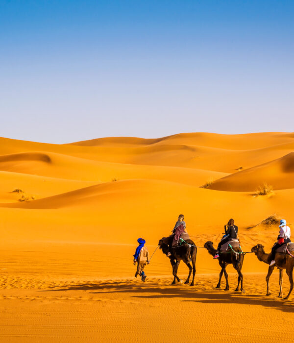 camel ride inmerzouga sahara desert