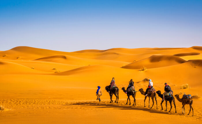 camel ride inmerzouga sahara desert