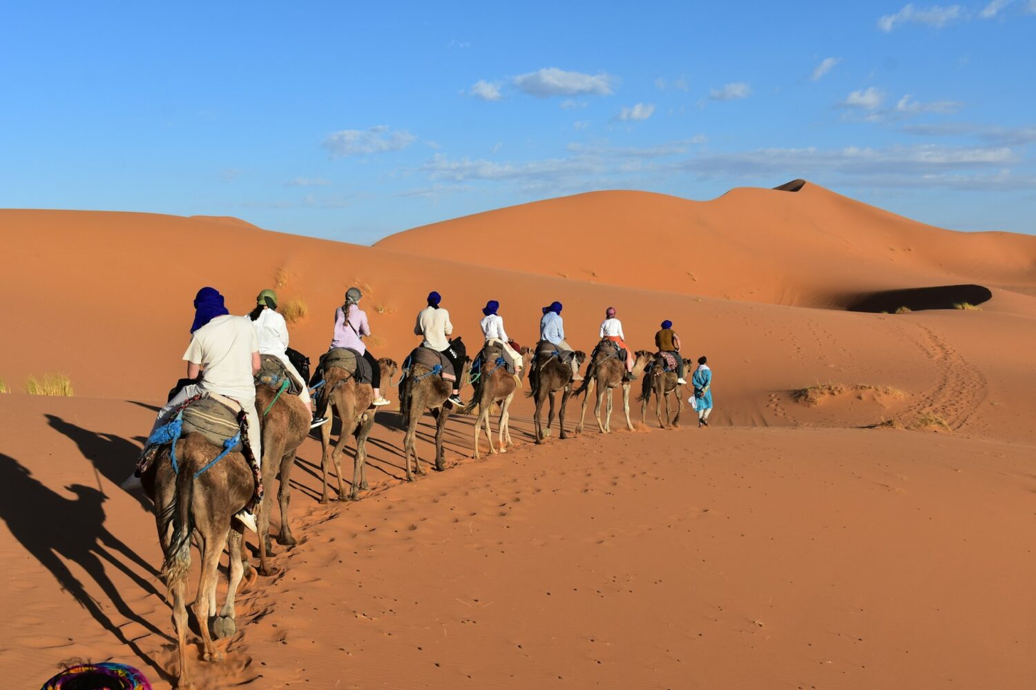 Camel ride in the Merzouga Sahara desert, Morocco – travelers crossing Erg Chebbi dunes at sunset