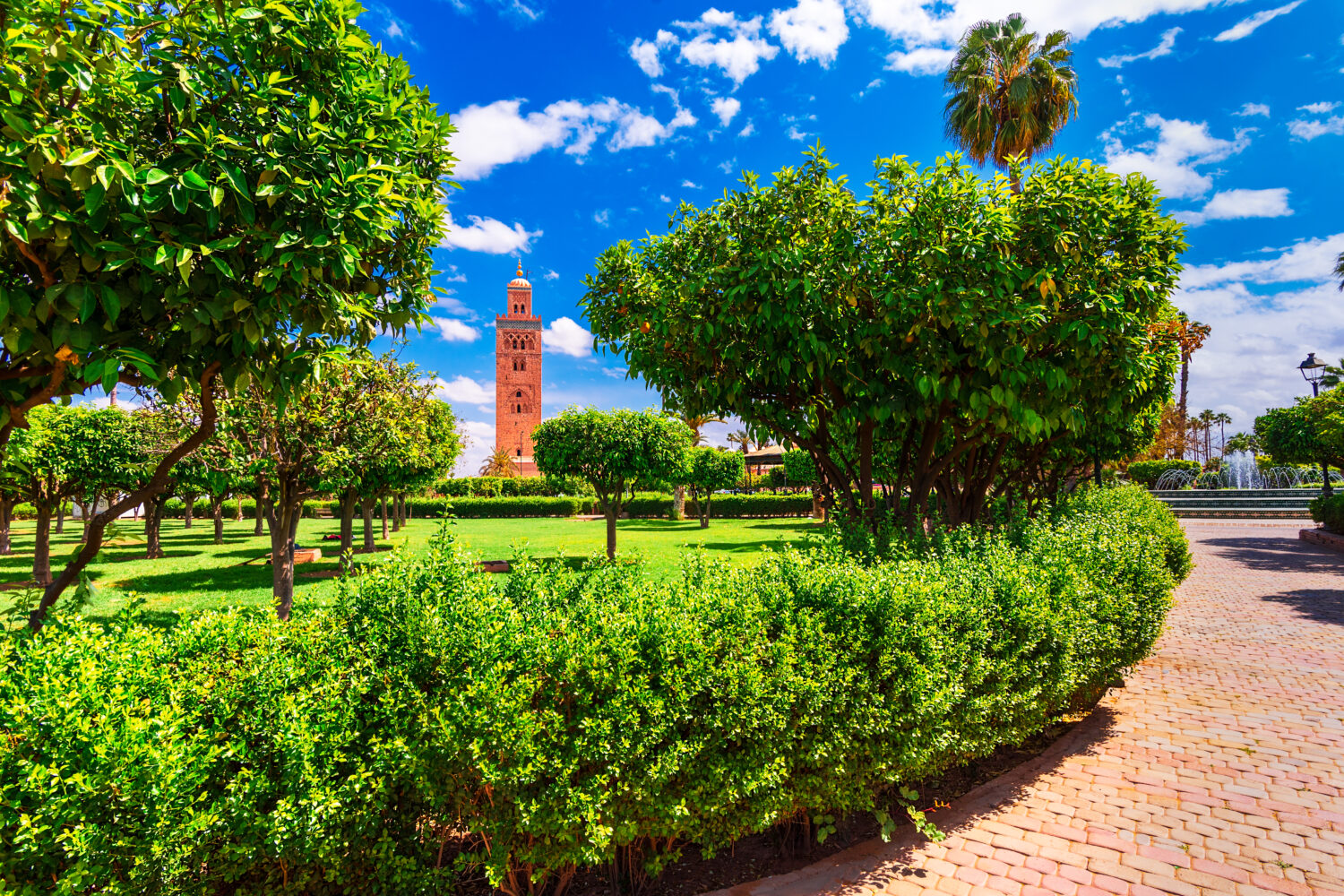 9-Day Imperial Cities & Sahara Tour from Casablanca. Koutoubia Mosque garden with palm trees and blue sky in Marrakech