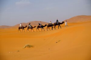 Camel trek in Erg Chebbi dunes during 3 Days / 2 Nights Marrakech to Fes via Merzouga Desert Tour
