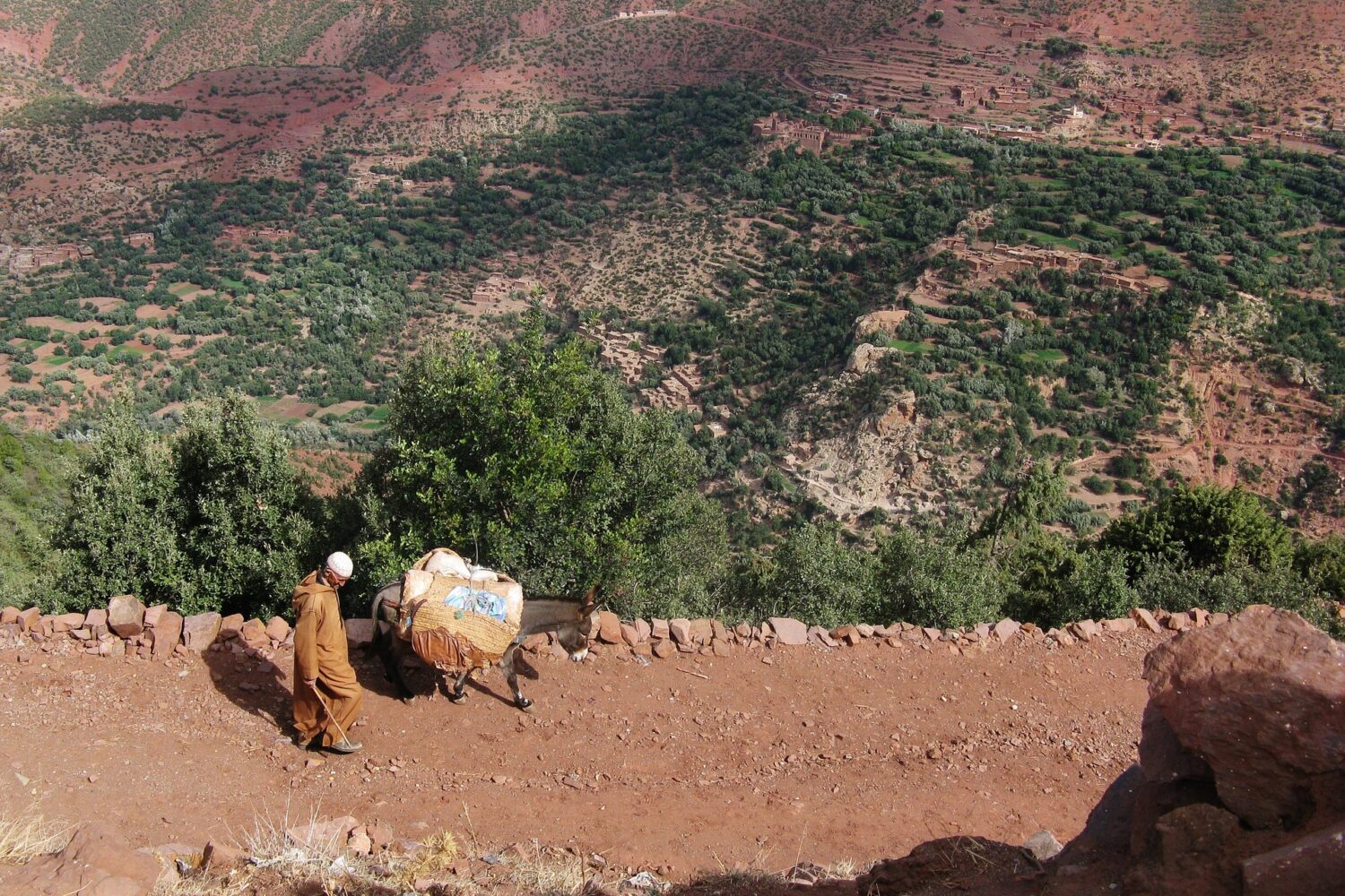 Man riding a mule on a mountain path in the High Atlas Mountains near Imlil Valley, Morocco