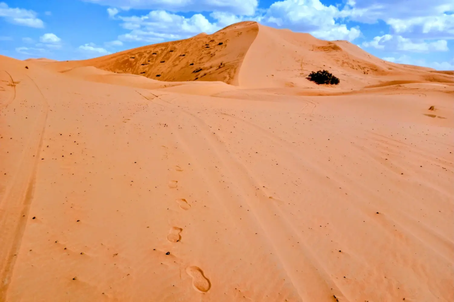 golden dunes of the Merzouga Sahara Desert on 8 days Morocco tour from Tangier to Marrakech.