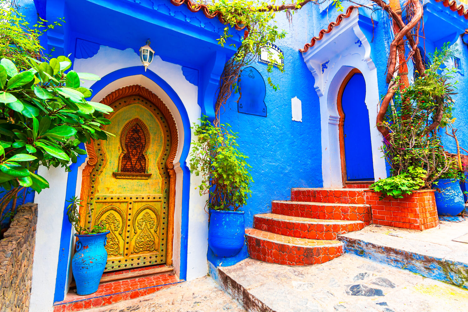 Blue stairs and colorful flower pots in the medina of Chefchaouen, Morocco
