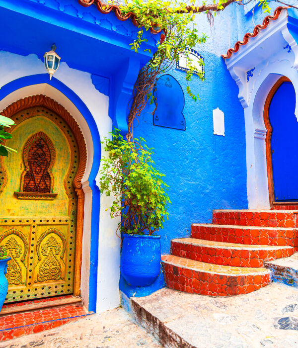 9-Day Imperial Cities & Sahara Tour from Casablanca Blue stairs and colorful flower pots in the medina of Chefchaouen, Morocco