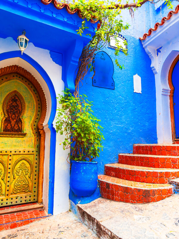 9-Day Imperial Cities & Sahara Tour from Casablanca Blue stairs and colorful flower pots in the medina of Chefchaouen, Morocco