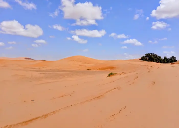 Merzouga sahra desert dunes the most visited in morocco