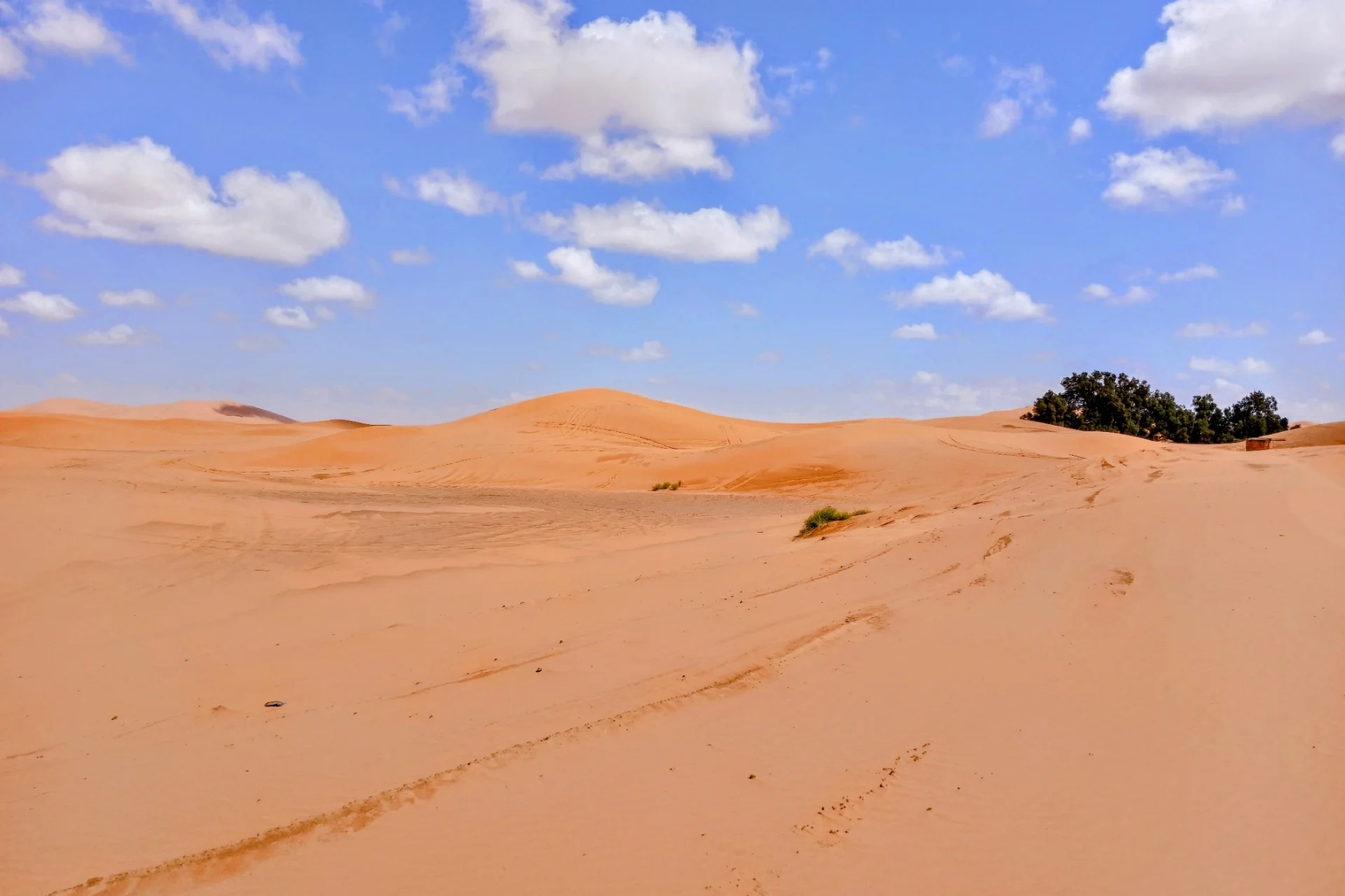 Merzouga sahra desert dunes the most visited in morocco