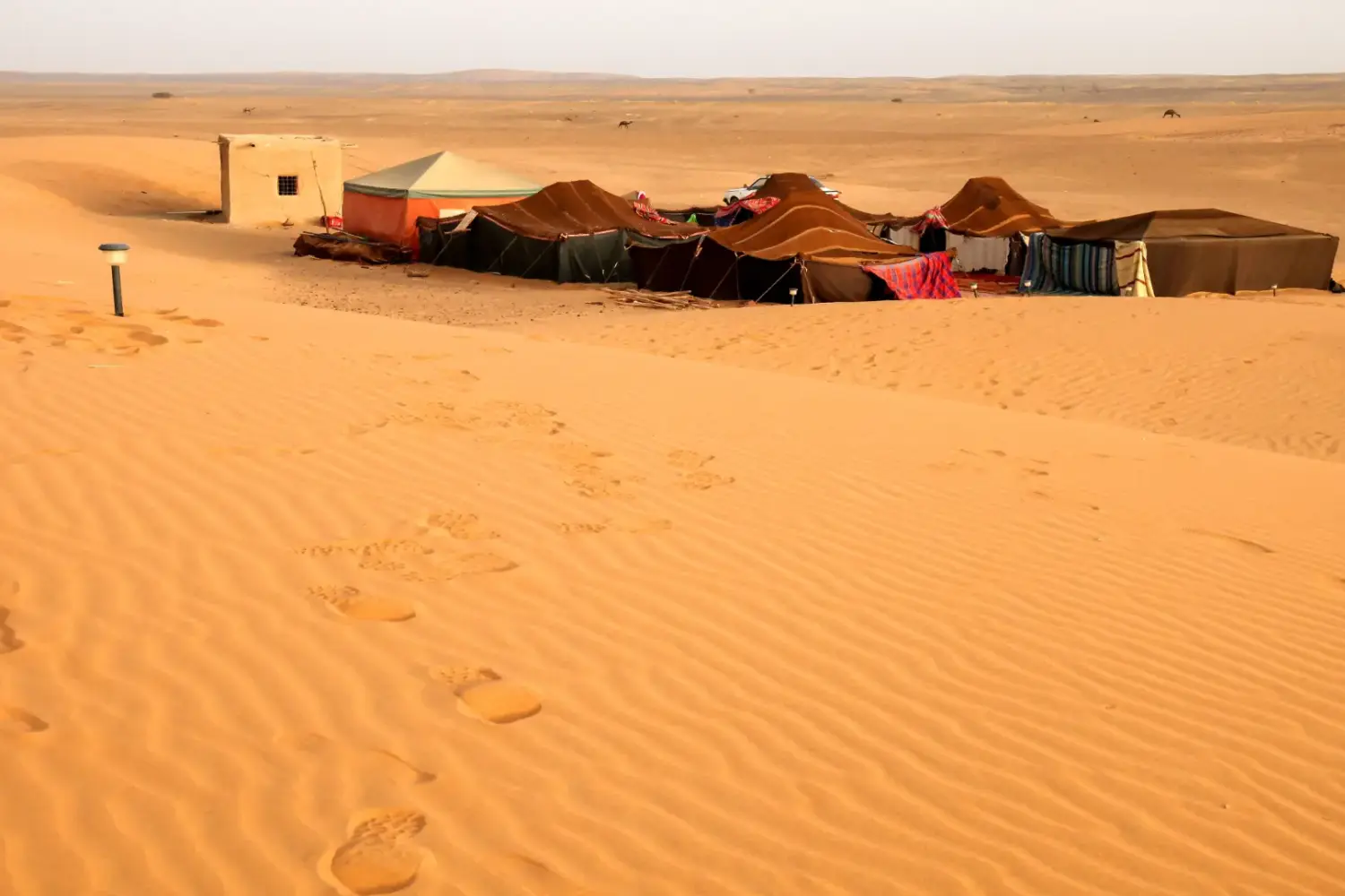 nomad family tents set in the Sahara desert of Morocco