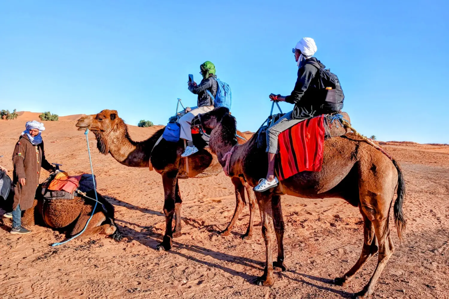 Camel ride in Merzouga desert