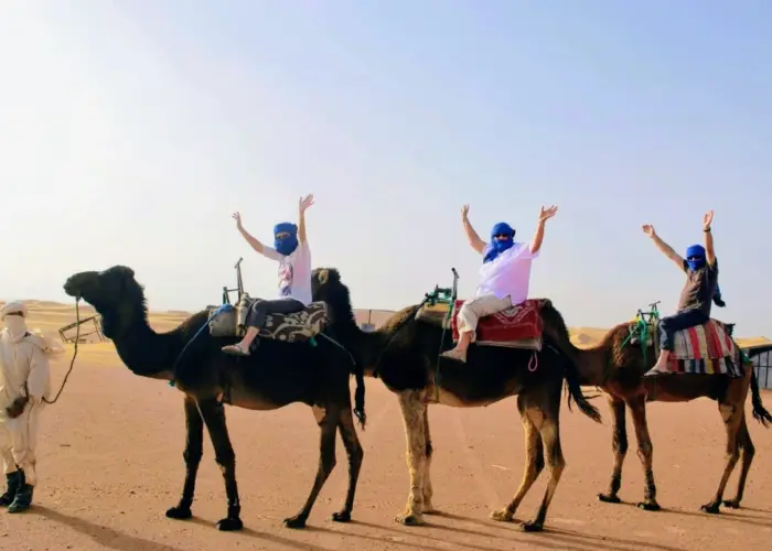 camel trekking in Merzouga desert Morocco