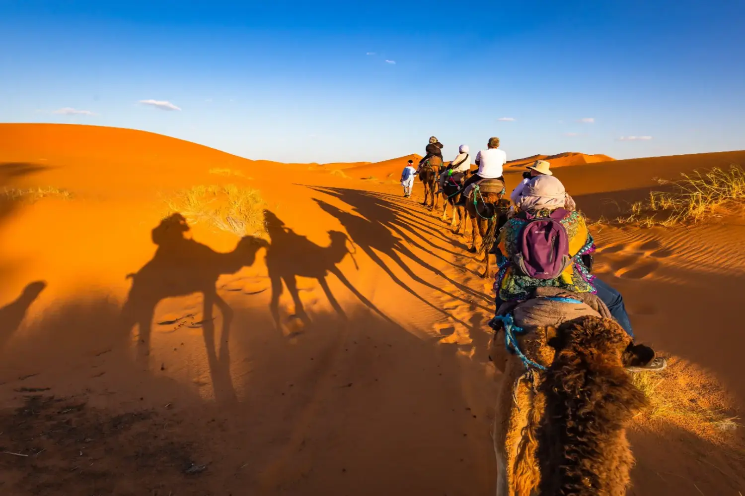 Camel ride in Sahara of Merzouga with our travellers during a Morocco desert tour at sunset