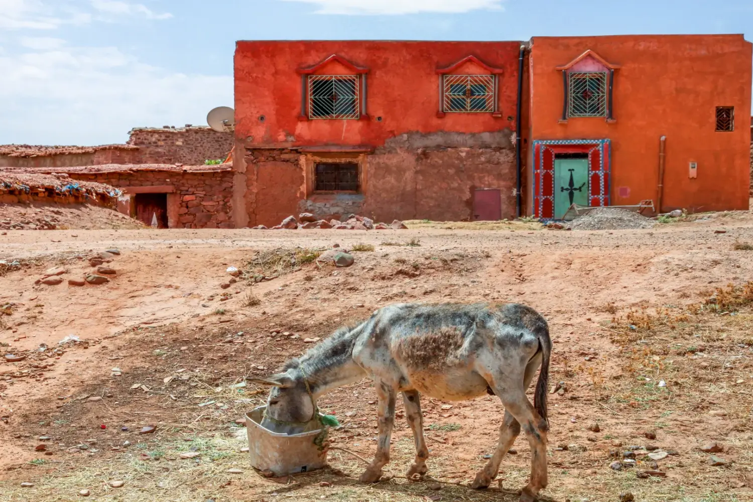 donkey standing in front of a traditional Berber house in Morocco
