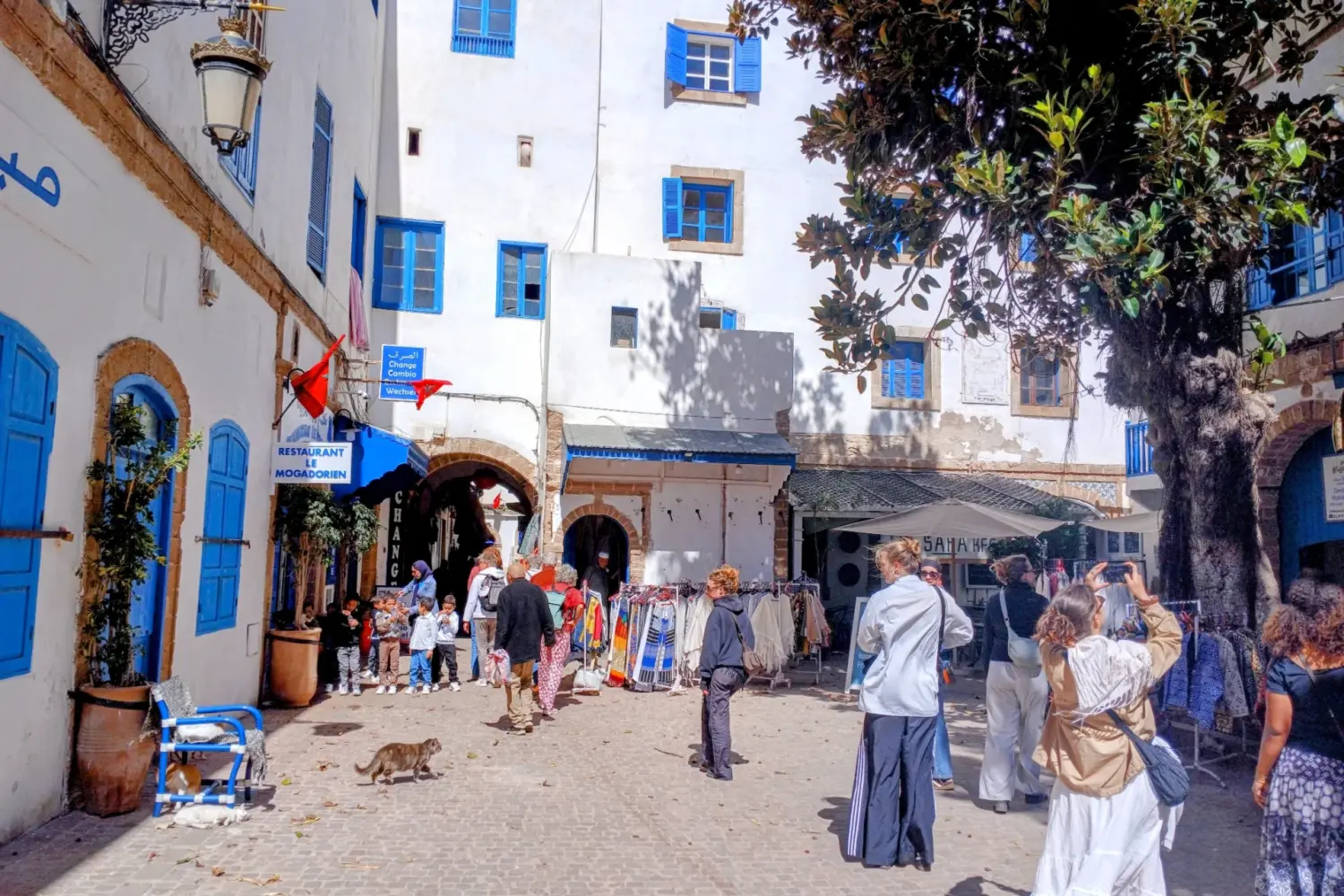 14 Day Jewish Heritage Tour in Morocco from Marrakech Essaouira Medina street local life Morocco
