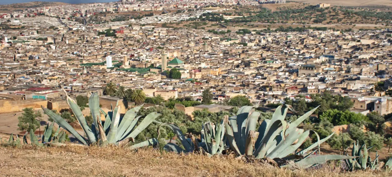Panoramic view of Fes Medina Morocco – ancient city skyline and historic architecture
