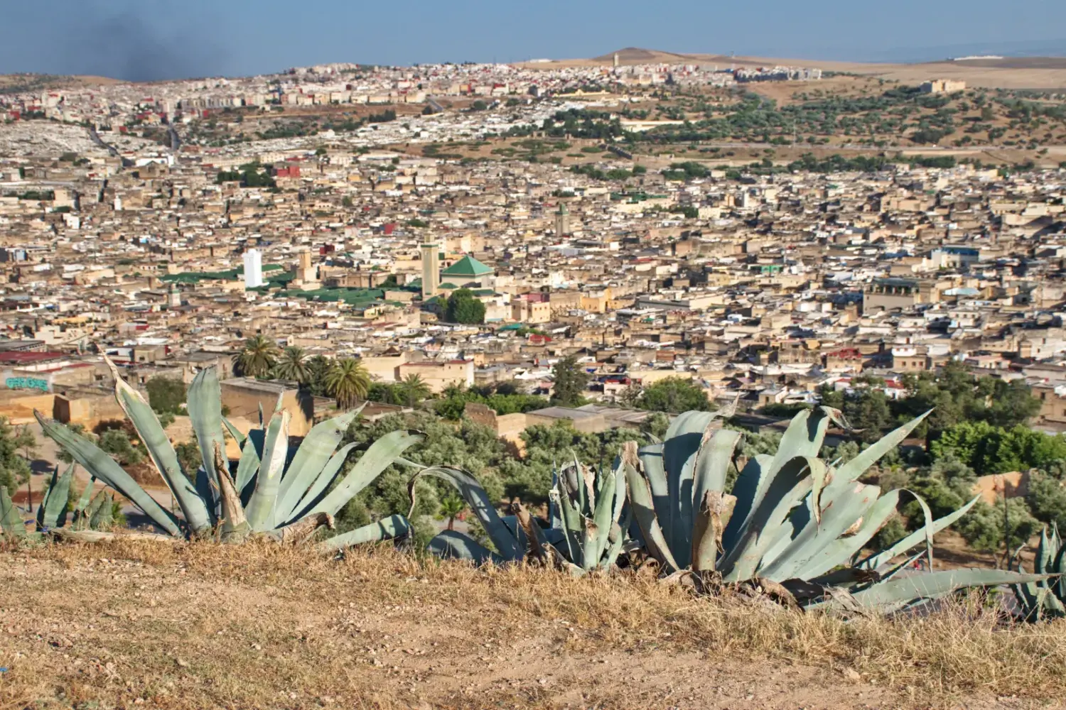 Panoramic view of Fes Medina Morocco – ancient city skyline and historic architecture
