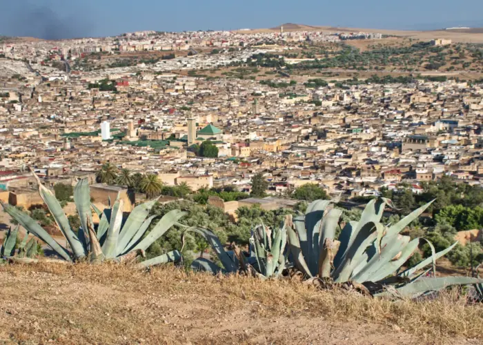 Panoramic view of Fes Medina Morocco – ancient city skyline and historic architecture