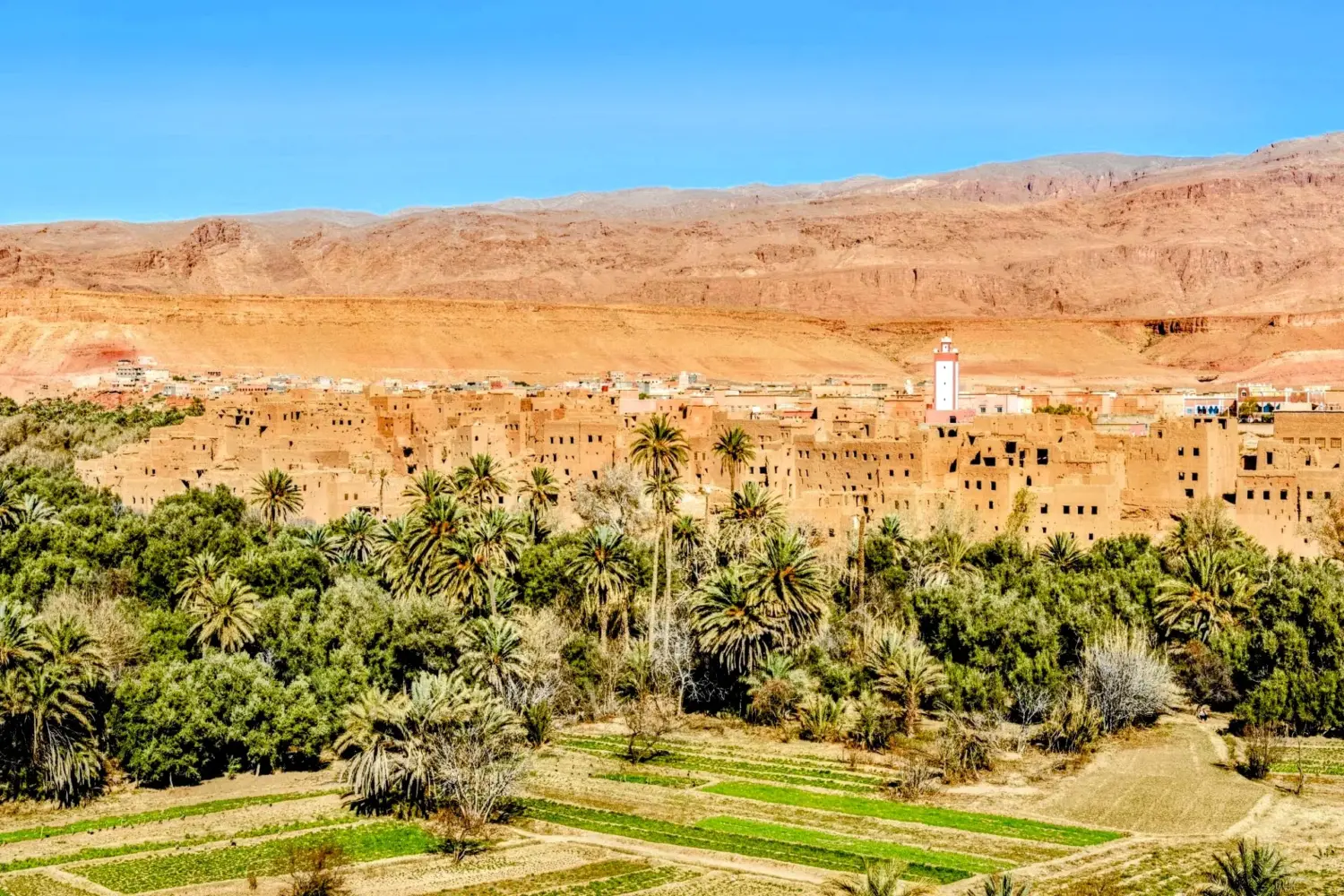 8 days Morocco tour from Tangier to Marrakech Jewish village in Todra Valley Tinghir Morocco