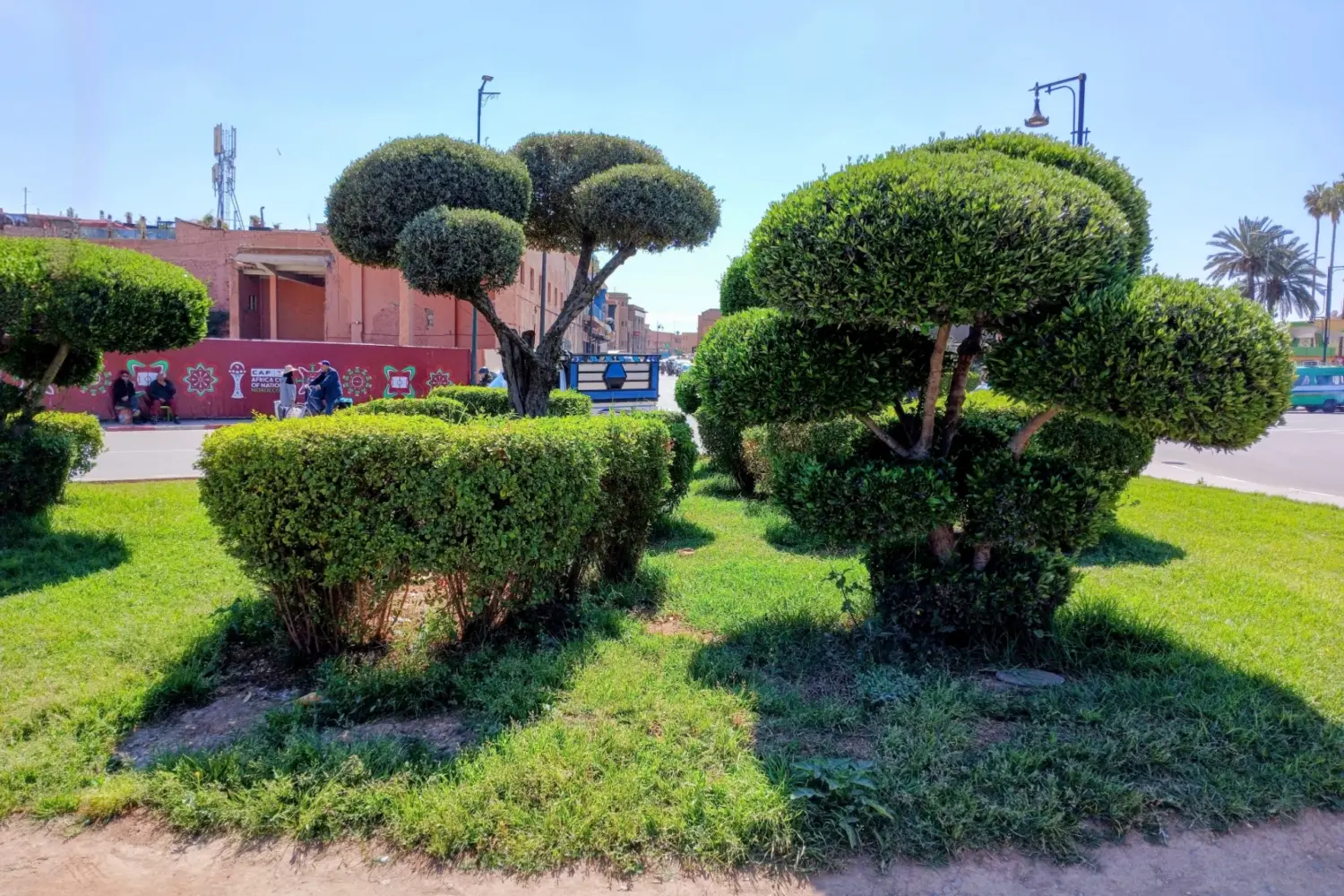 Marrakech garden with green trees and traditional landscaping in Morocco visited on 5 Day Marrakech Tour with Essaouira And Ourika Valley