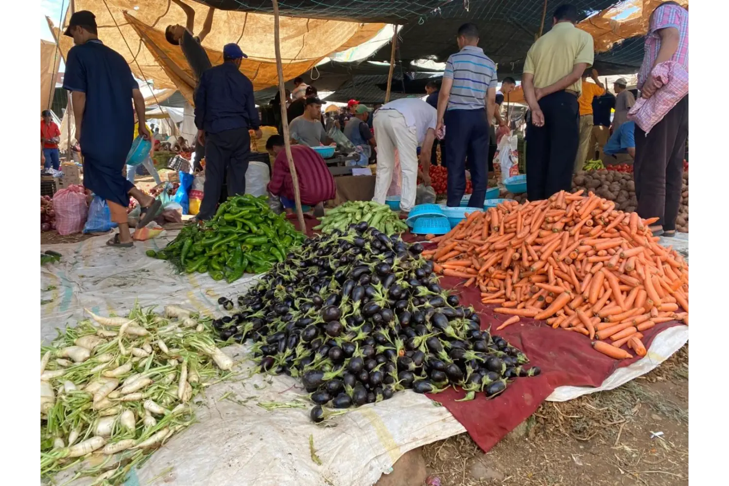 berber souk Moroccan spice market with colorful spices on the 21-Day Private Morocco Explorer Tour