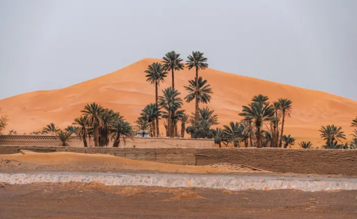 Palm trees and desert houses near Zagora on a 2-day desert tour from Marrakech