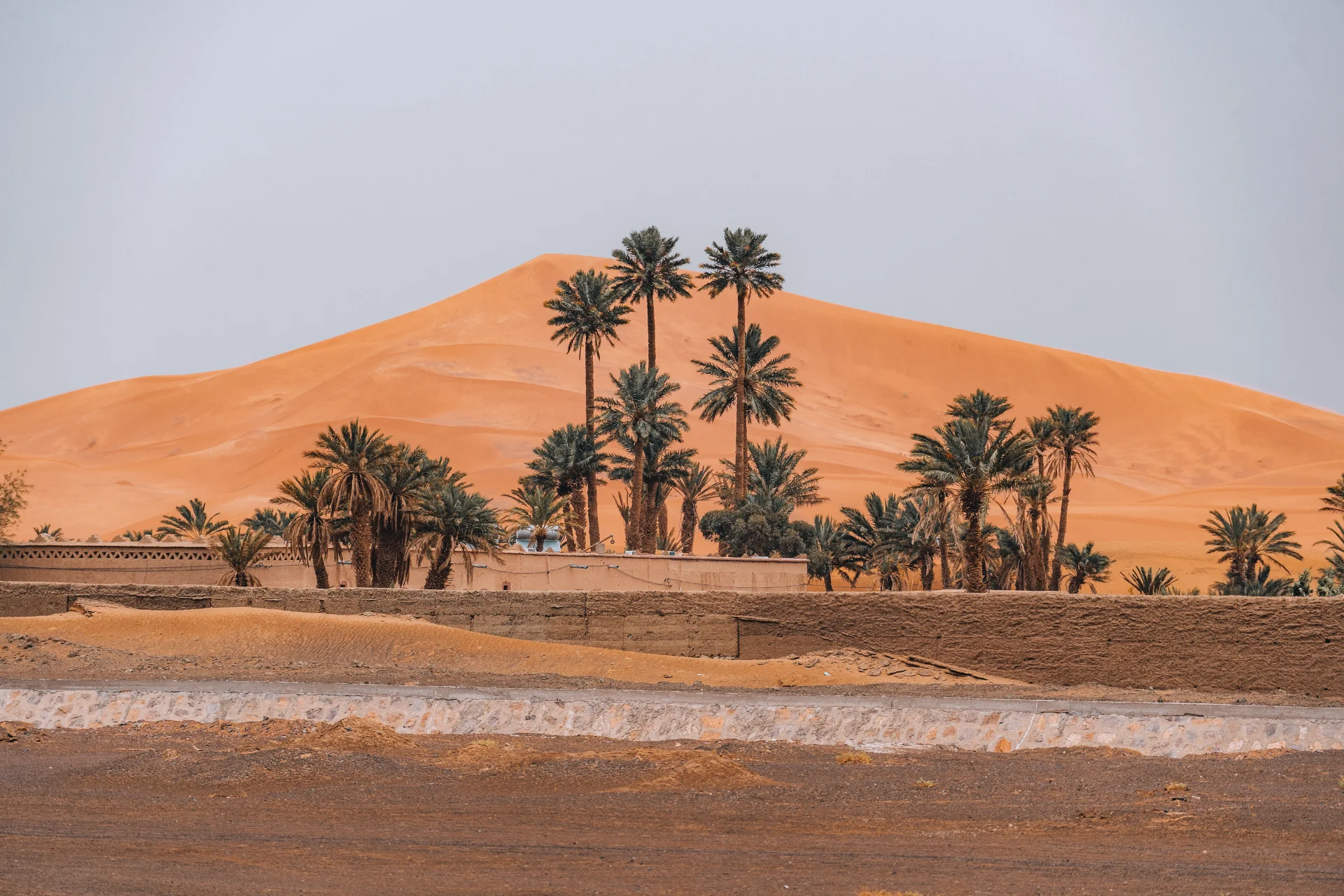 Palm trees and desert houses near Zagora on a 2-day desert tour from Marrakech
