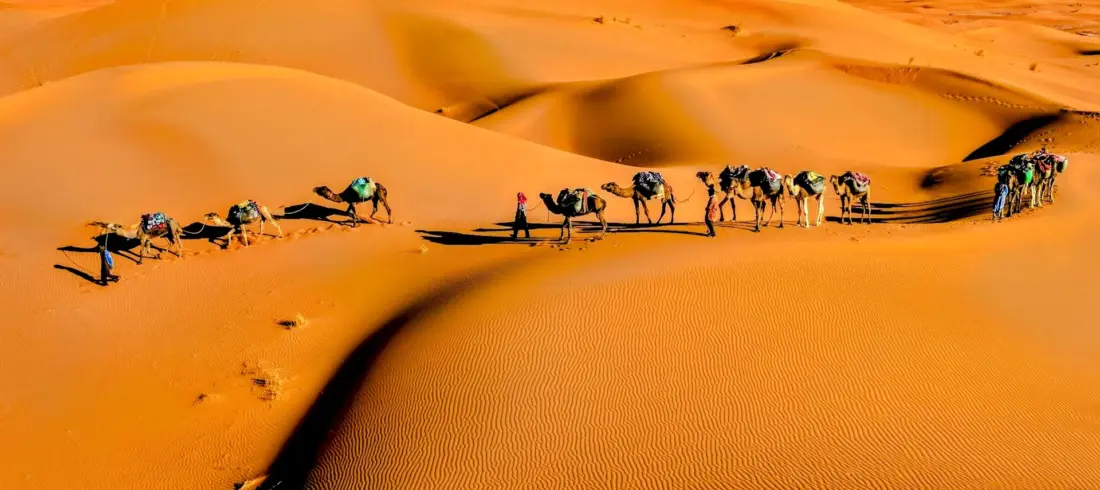Merzouga dunes merzouga desert dunes and caravan