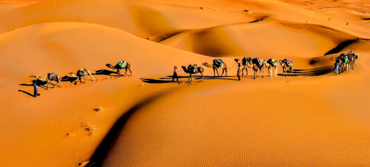 merzouga desert dunes and caravan