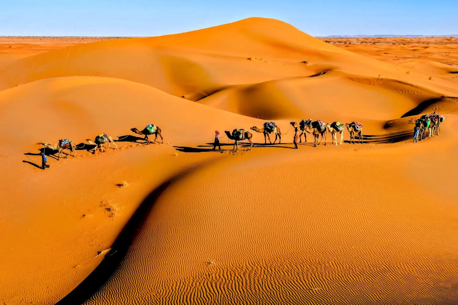 Zagora desert dunes and caravan during sunset 2 Day To Zagora From Marrakech