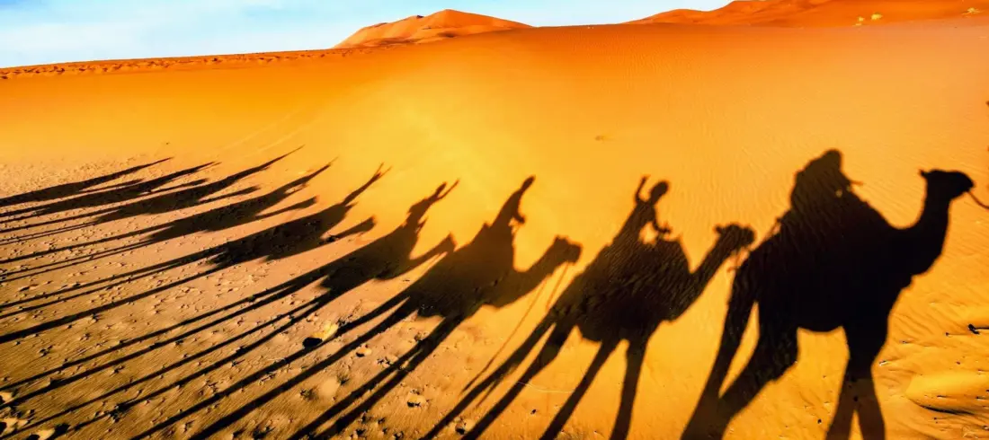zagora sahara desert Zagora desert dunes and caravan shadows