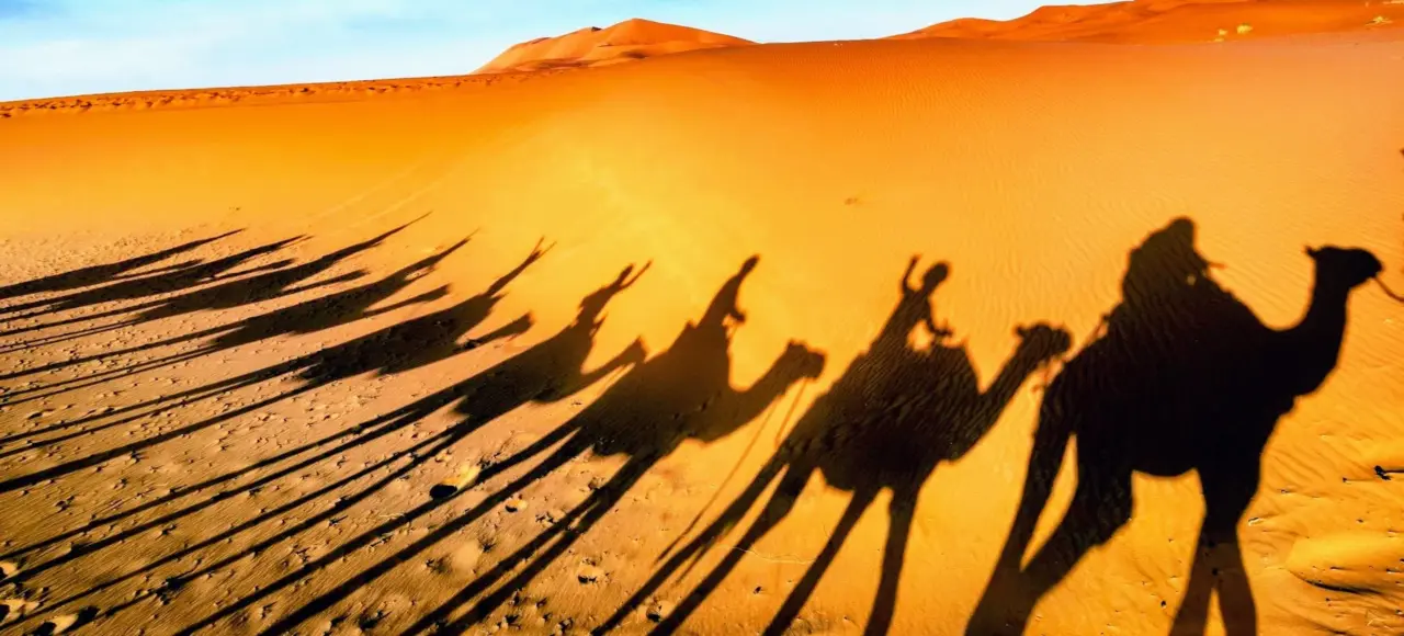 Zagora desert dunes and caravan shadows