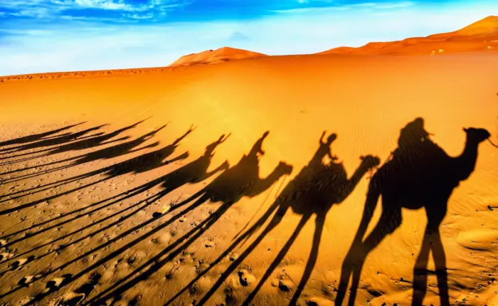 Zagora desert dunes and caravan shadows