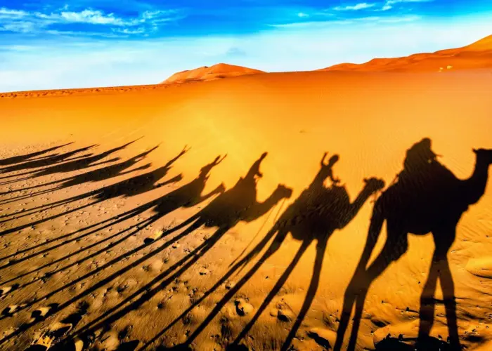 Zagora desert dunes and caravan shadows