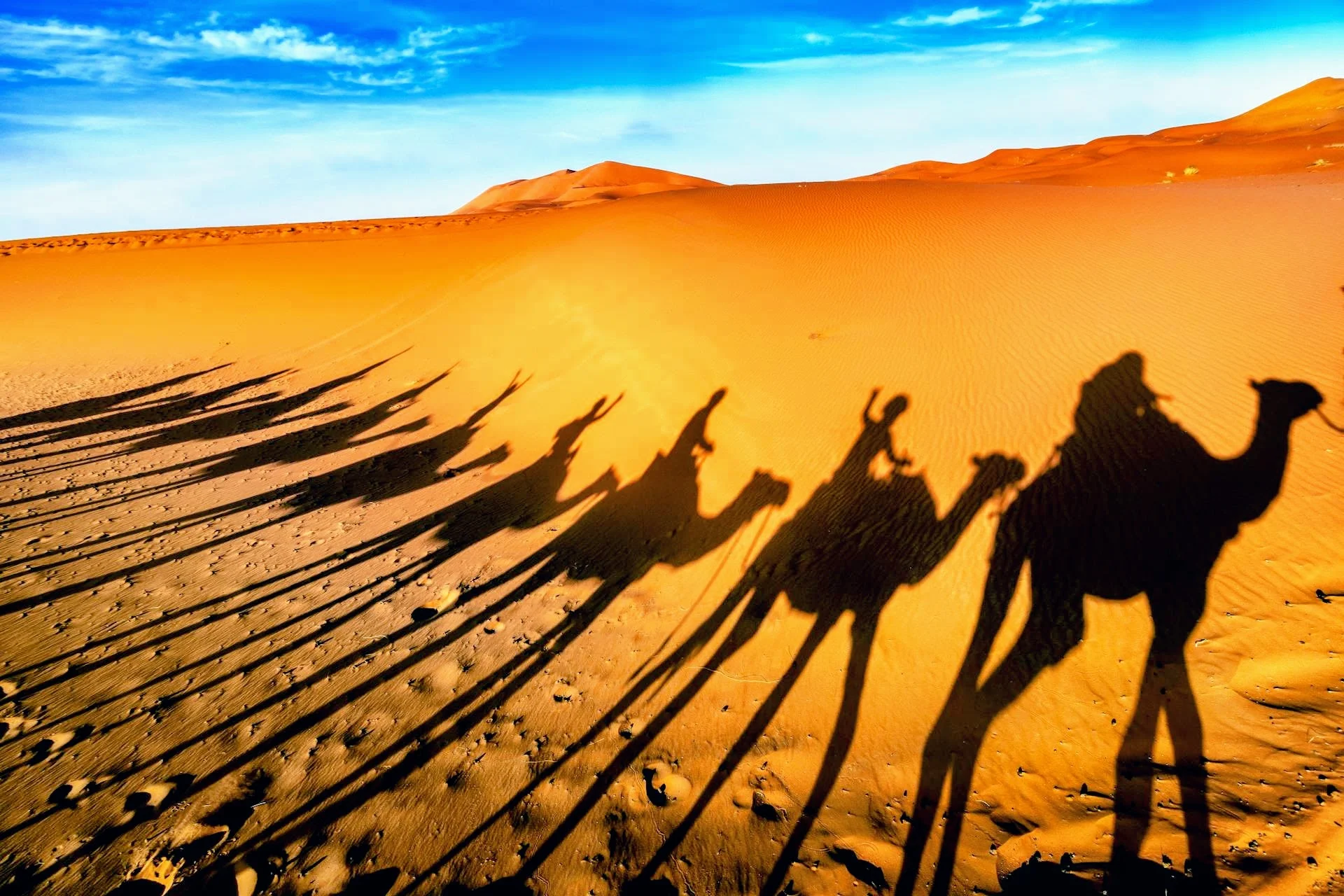 Zagora desert dunes and caravan shadows during sunset 2 Day To Zagora From Marrakech