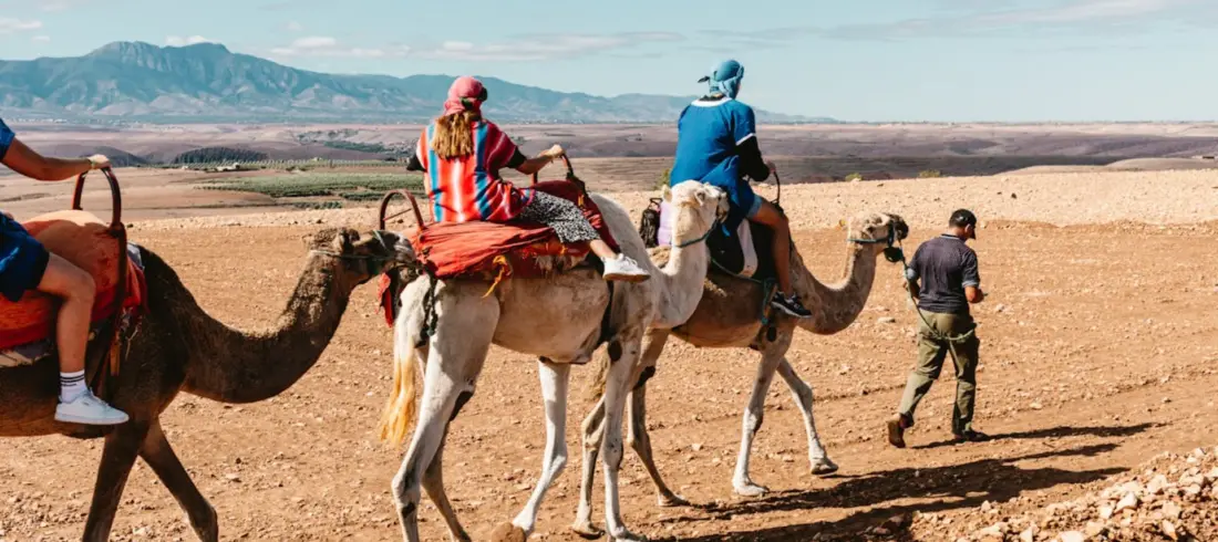 camel ride experience in the Agafay Desert