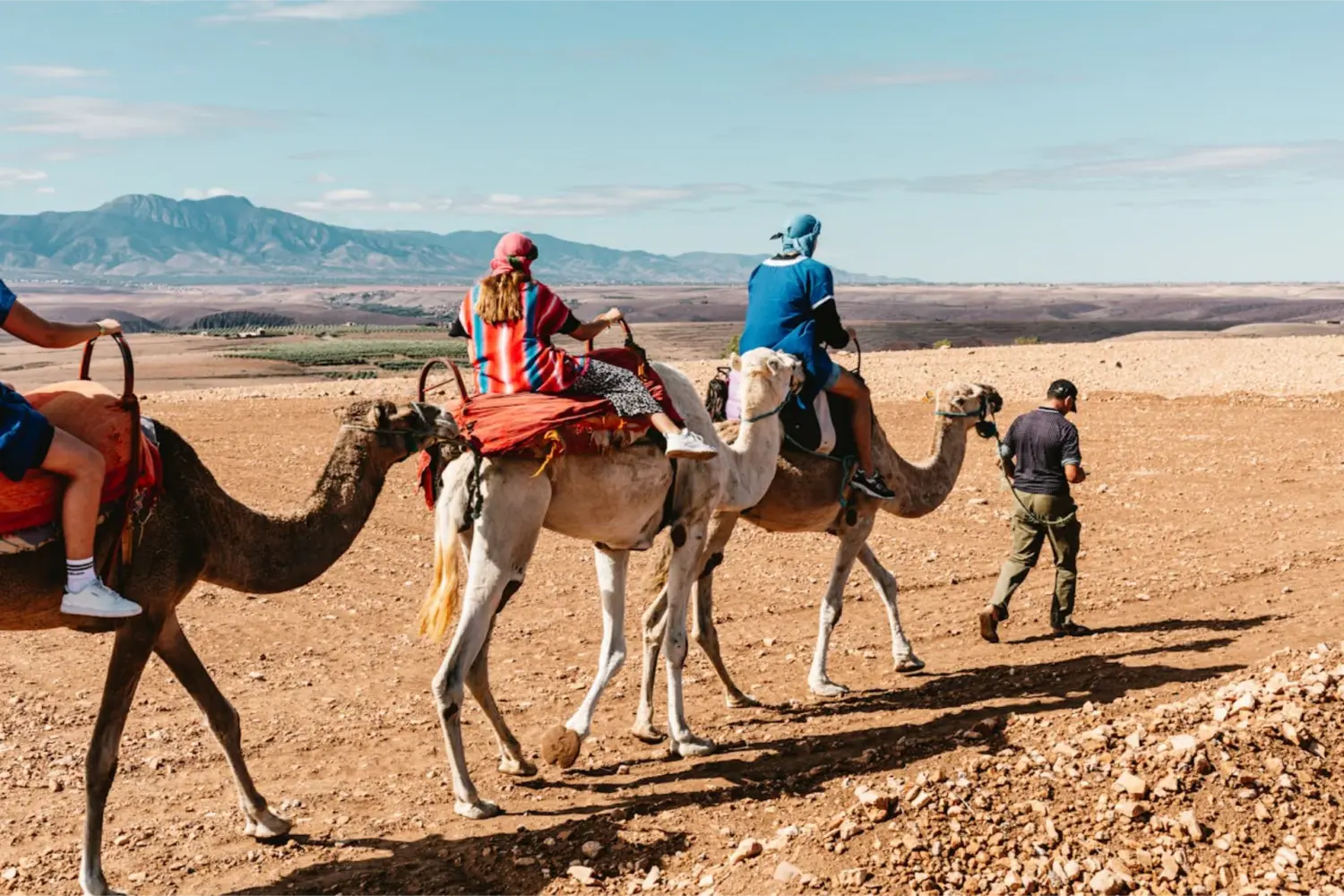 Camel Trick Agafay camel ride experience in the Agafay Desert during the Best Sahara Desert Tour from Marrakech