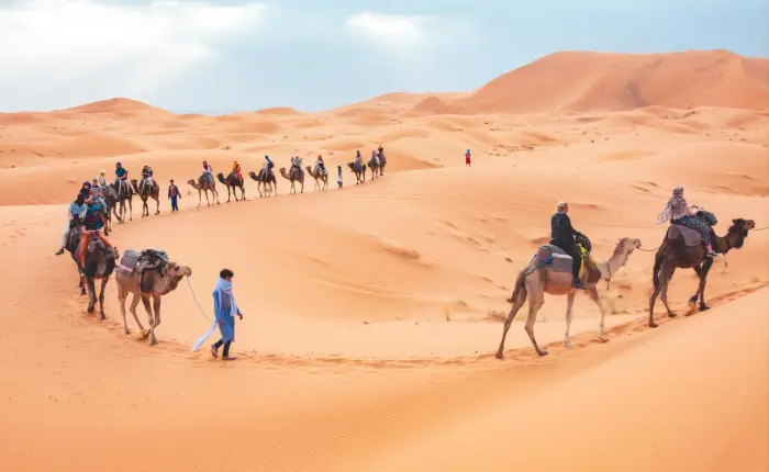 Camel ride in the merzouga sahara desert