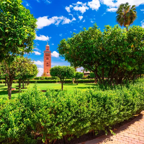 Marrakech best destination in Africa with morocco marrakech gem – Private tours in Morocco