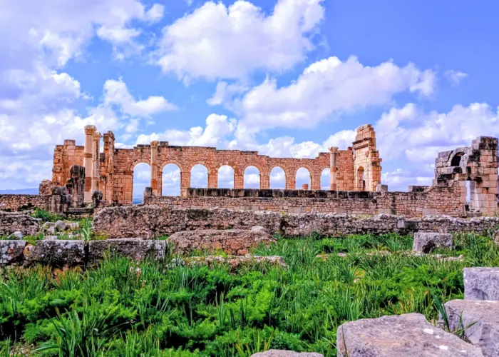 Ancient Roman columns in Volubilis Morocco on 9 day cultural tour from Casablanca