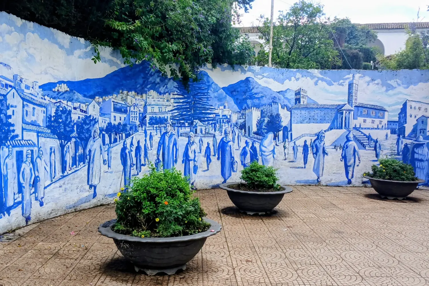Blue alley with flower pots in Chefchaouen medina during a Day Trip from Fes to Chefchaouen