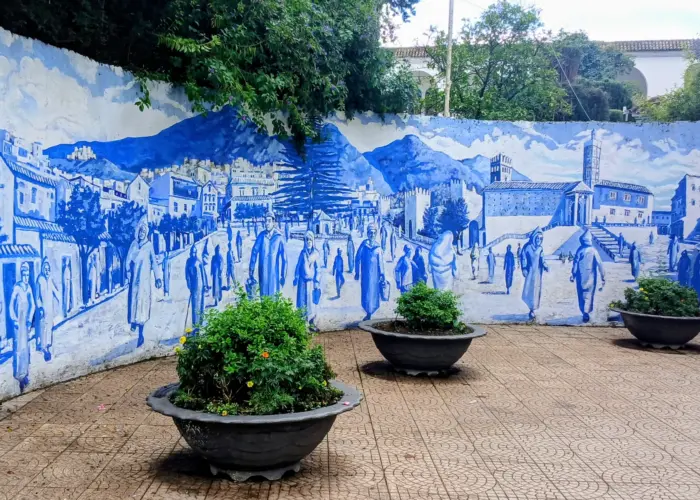 Blue alley with flower pots in Chefchaouen medina during a Day Trip from Fes to Chefchaouen