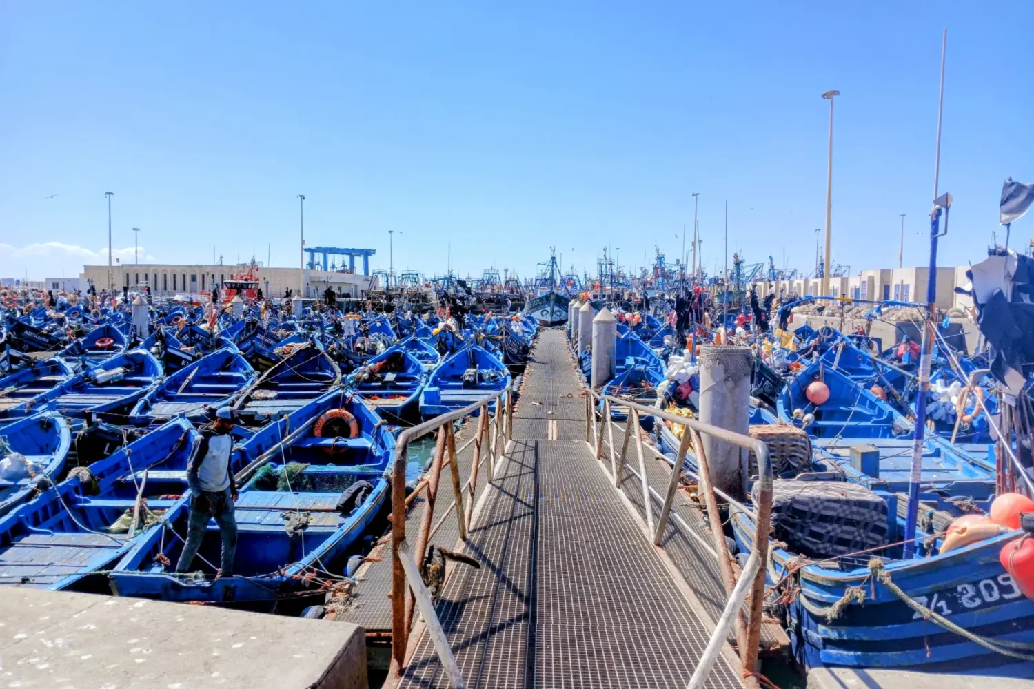 Essaouira fishing port with blue boats Morocco